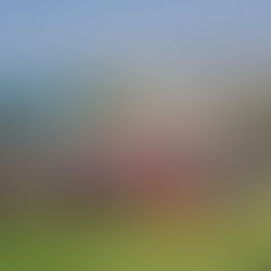 A Journey Of Discovery