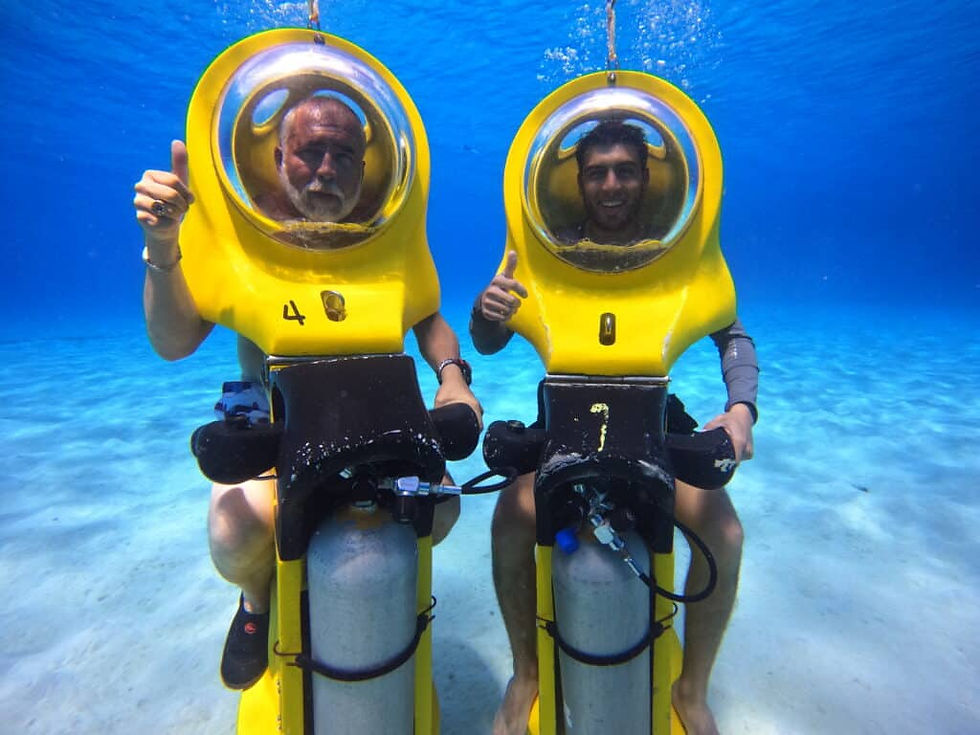 aquafari.jpg