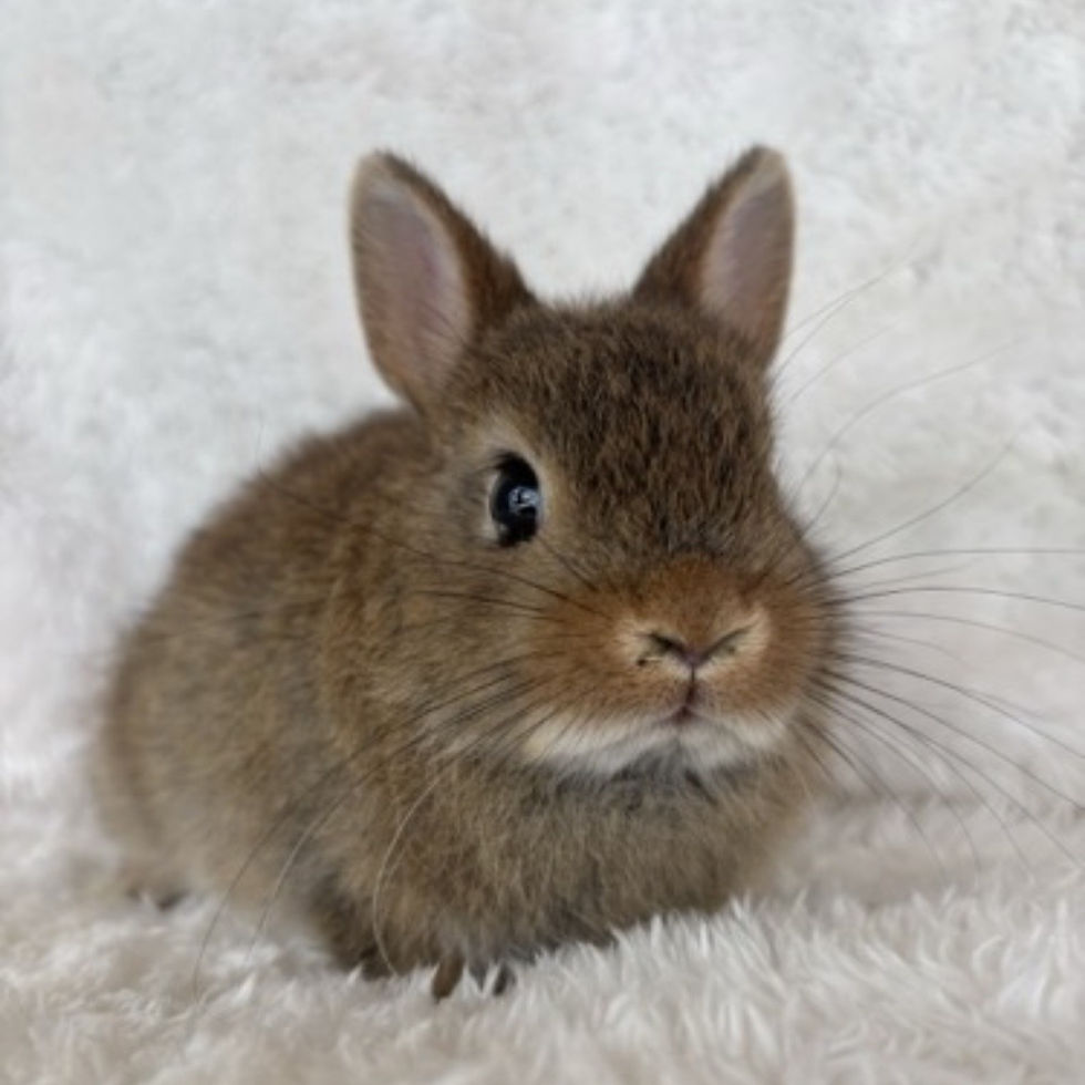 ￥９８,０００