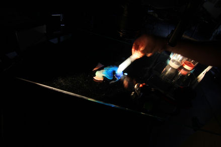 IMG_3282.jpeg
