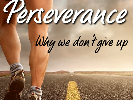 Perseverance, Purpose in Our Trials
