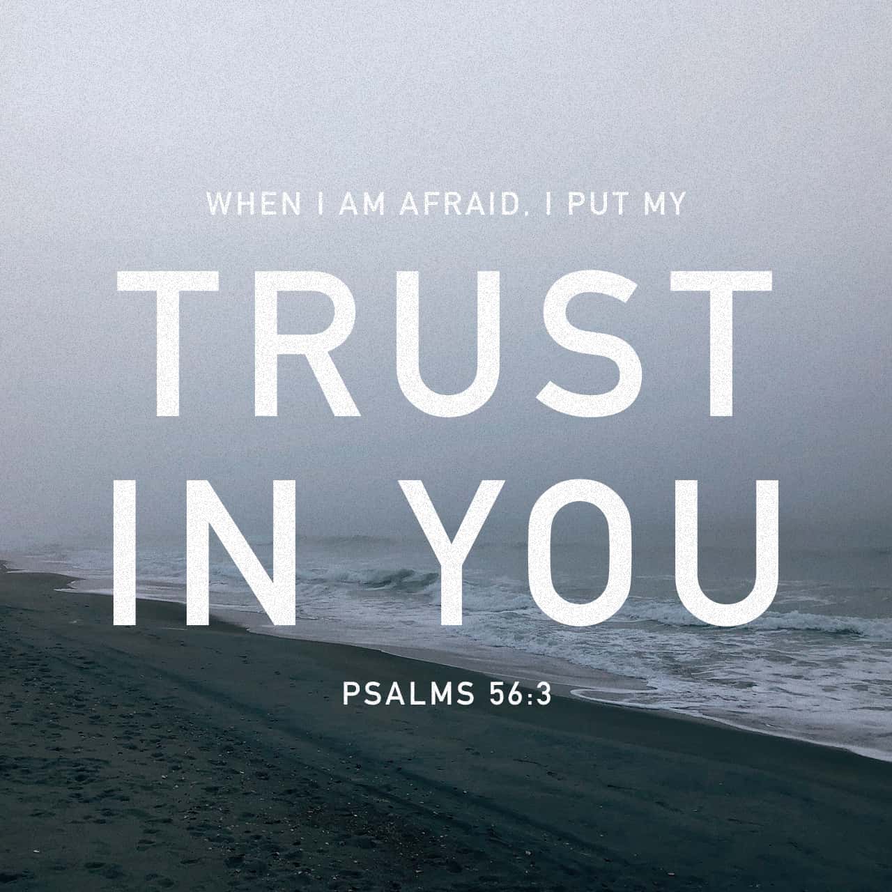 Bible verse