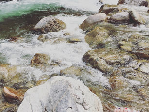 お取り扱い店 ふえました