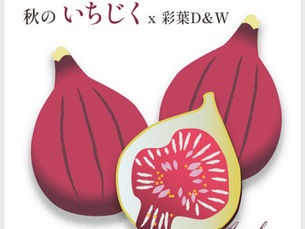 大人が輝ける社会3「秋のいちじく」|サクッと読める短編読み物