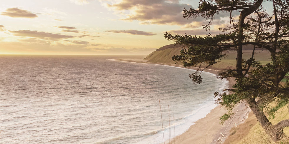 Scenic view of Ebey’s Landing with coastal cliffs, rolling fields, and Puget Sound in the distance on Whidbey Island.