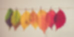 Eight autumn leaves in green, yellow, orange, and red hues hang on a string against a plain white background, evoking a warm, serene mood.