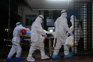 Saiba por que é improvável que o vírus Nipah chegue ao Brasil