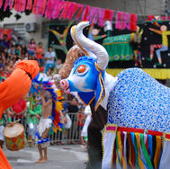 TAC define medidas de segurança e horários de funcionamento durante o Carnaval de Arcoverde