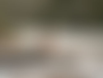 Brandingshoot, Businessfotos, Retreat Bern