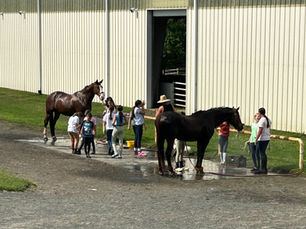 2025 Spring Break & Summer Riding Programs Registration Now Open!