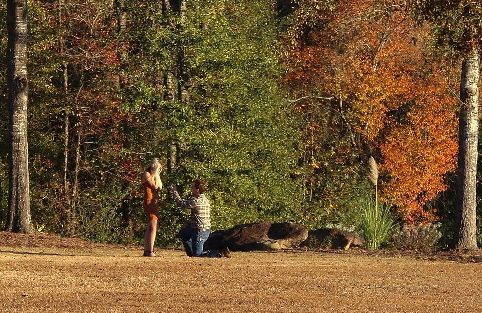 Auburn, AL fall wedding proposal with pampas grass and fall foliage and rocks