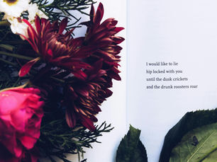 May Sarton: A Literary Life of Love and Strength