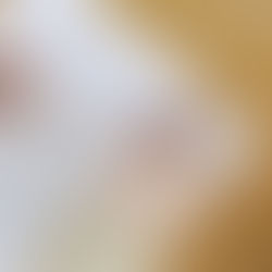 Editing 101: What an Editor Can Do for You