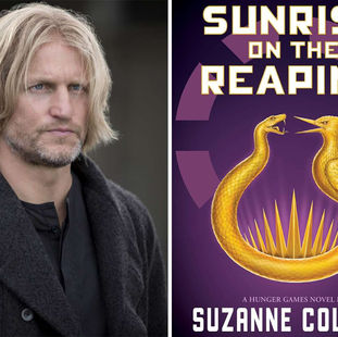 What Will Your Poster Be?: A Look into Haymitch Abernathy in Sunrise on the Reaping