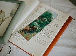 Audrey Niffenegger: From Visual Artist to Best-Selling Author