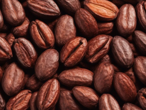 Global Cocoa Crisis: Chocolate's Bitter Future Unfolds as Prices Soar and Supplies Dwindle