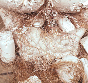 Martucci-Fink Consumed No.5 (2).jpg