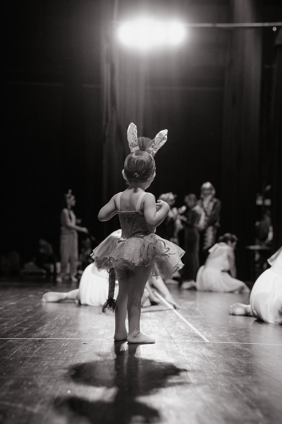Foto para recital de Ballet