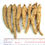 Thumbnail: Long Ginseng (KL1)