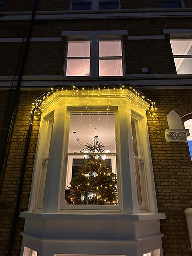 Xmas Light install.jpeg