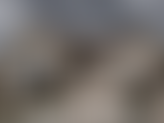 High winds can rip shingles from your roof, leaving your home vulnerable to leaks and costly repairs. Roof Rescue 911 offers free inspections and insurance claim support in Fort Wayne.