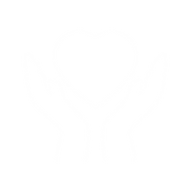 Salud3.png