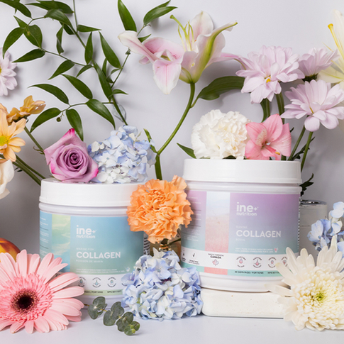 INE+ Nutrition's cohesive branding materials developed by Toronto content marketing company