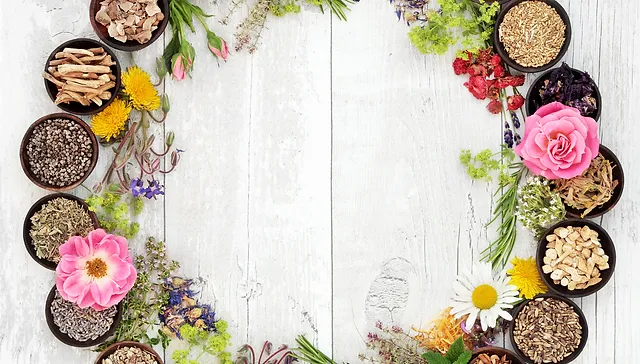 Naturopathic Doctor Functional And Holistic Cleveland Ohio