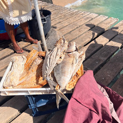 Tonni essicati sotto sale