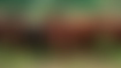 SHOW DEL CHISTE. ES LA SALUD, ANIMAL