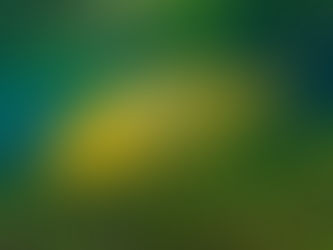 LÍO EN LA ESCUELA. BRILLA PERO NO ES DE ORO