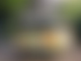 LÍO EN LA ESCUELA. INCOSCIENTE EN COLECTIVO.