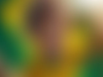 LÍO EN LA ESCUELA. AMÉRICA BENDITA