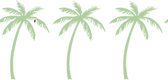 Palm Trees