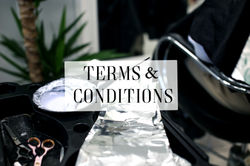 Terms and Conditions