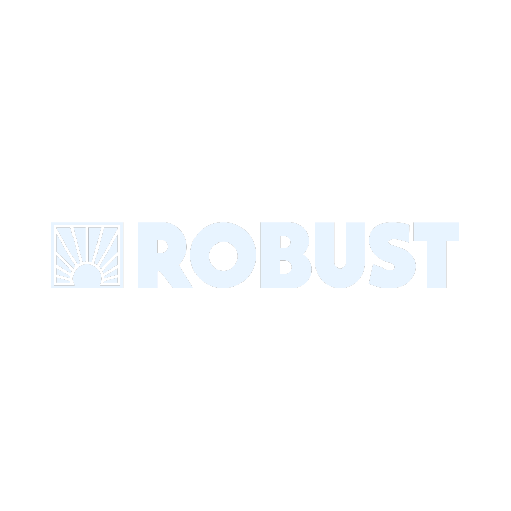 Asset 6robust.png