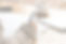 cursos-florais-perfumaria_edited.jpg