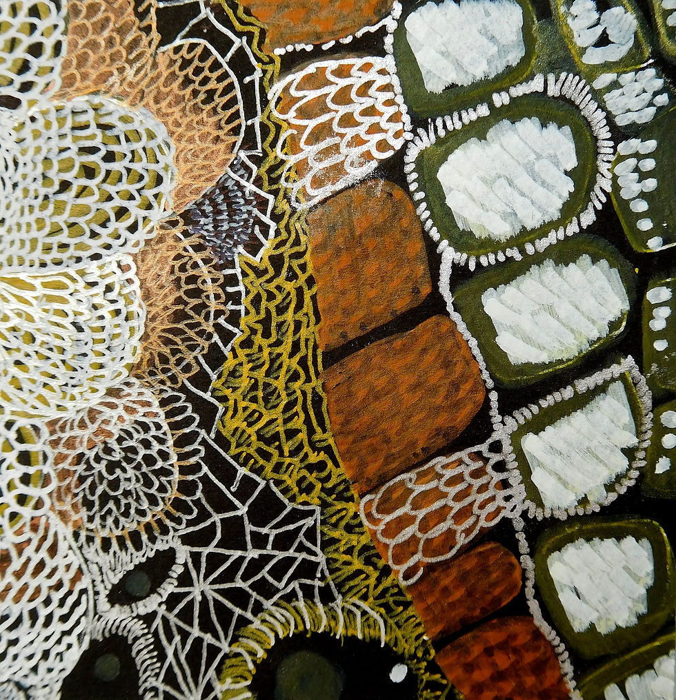 Thumbnail: Particle - A Drawing in 35 Parts - H56xW71cm