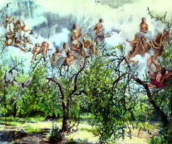 Olive Grove (2017)