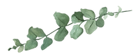 green leaves