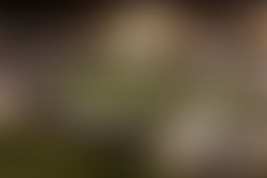 Eintracht Spandau wird Vize-Champion der TUI Socca Champions League