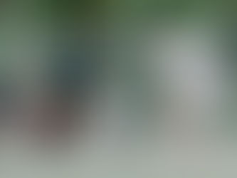 DKFV testet in Berlin gegen Tschechien