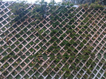 PXL_20230320_224308668