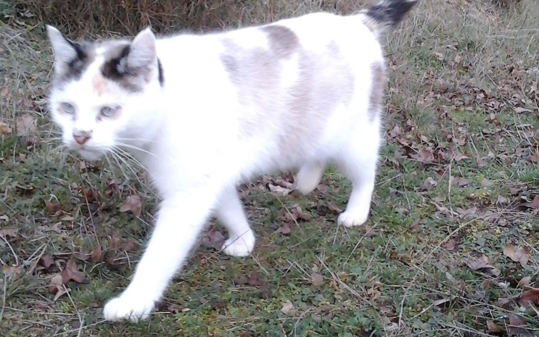 20151216_155435.jpg