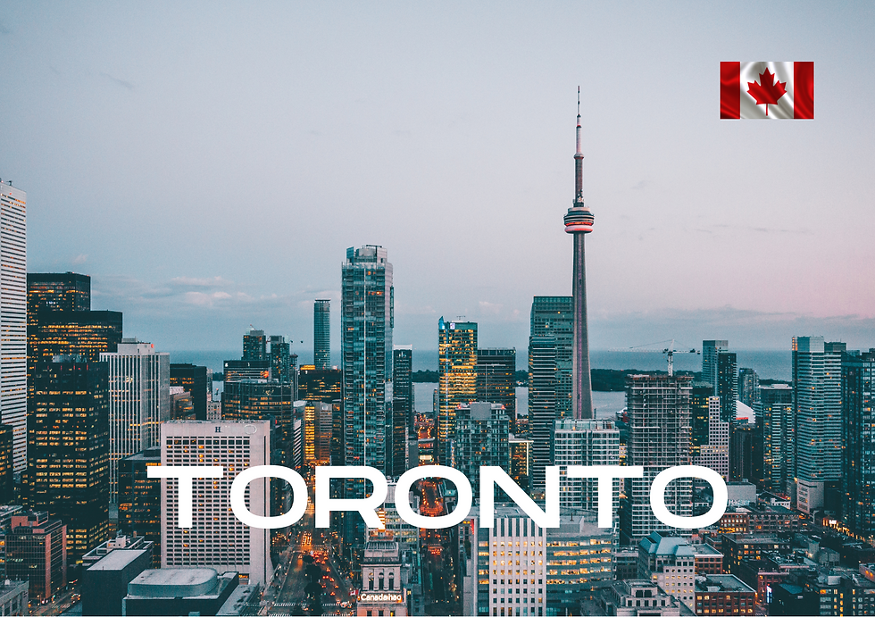 THE ONE: Anteriors TORONTO