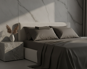 Lit-5250-edited_3 (2).png