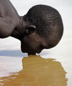 El agua no potable causa cada año más víctimas que cualquier forma de violencia