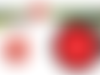 Grosse Frühlingsausstellung: Samstag, 28. und Sonntag, 29. März