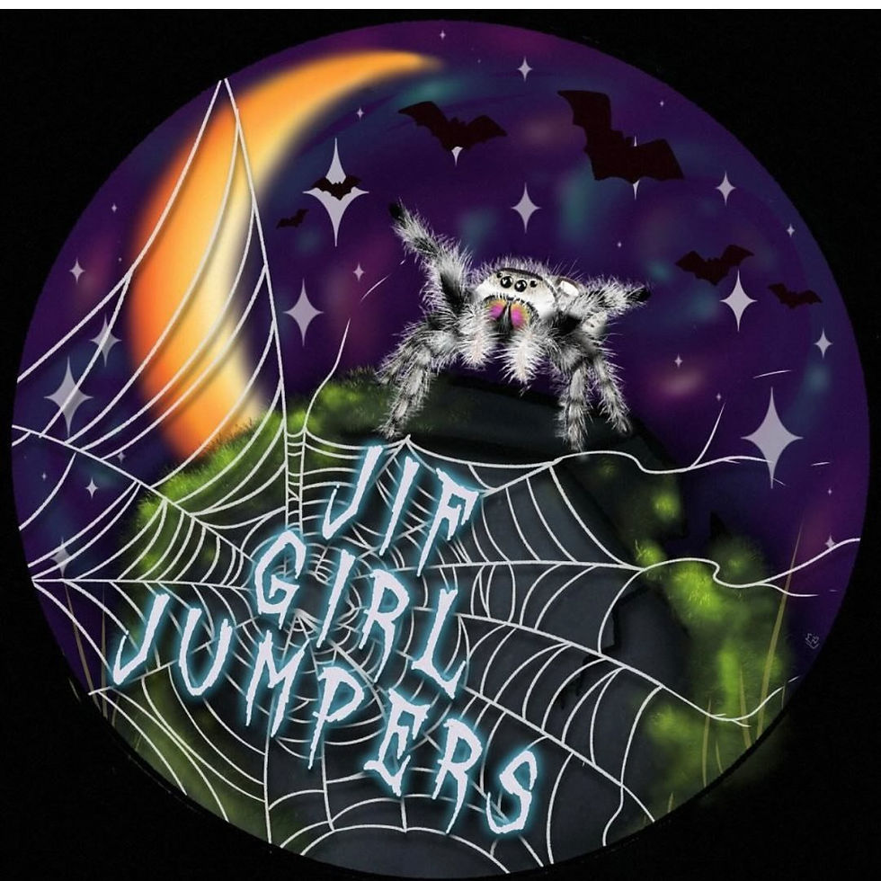 JifGirlJumpers