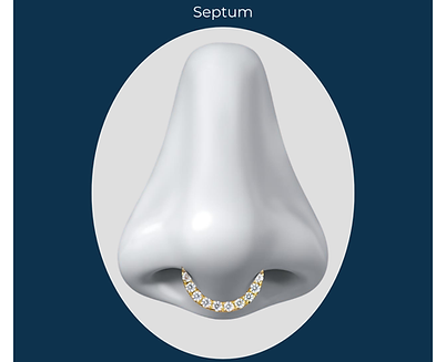 Septum.png